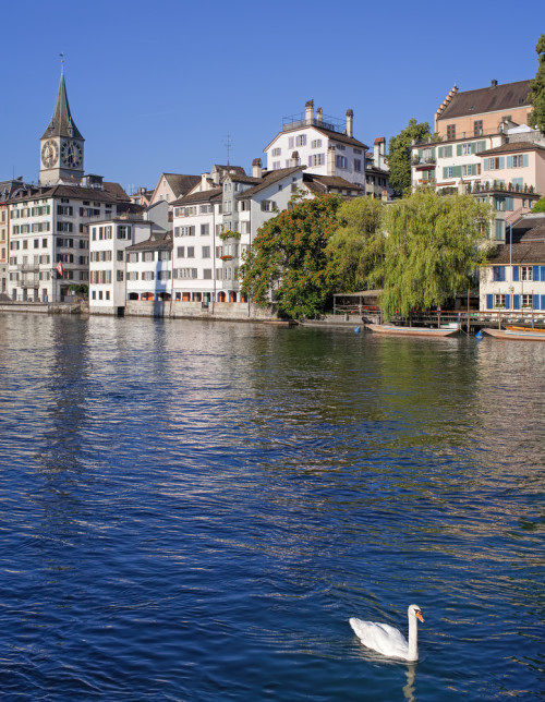 Schwimmen in der Limmat Schwimmen in der Limmat
