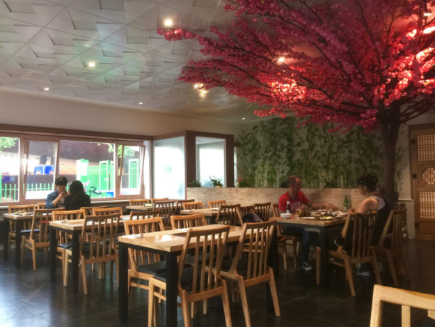 Koreanisch grillieren unter Kirschblüten. Foto: Lunchagte/Rafael