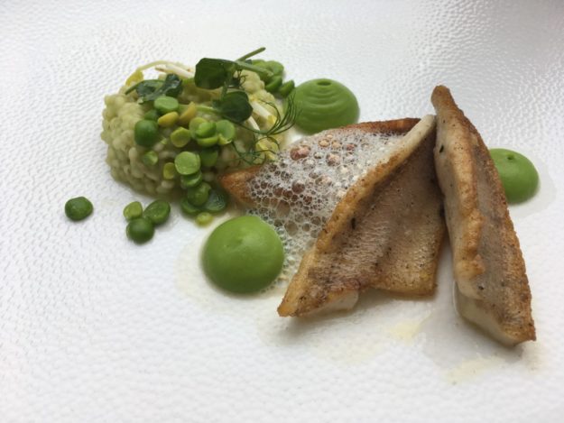 Eglifilet auf der Haut gebraten