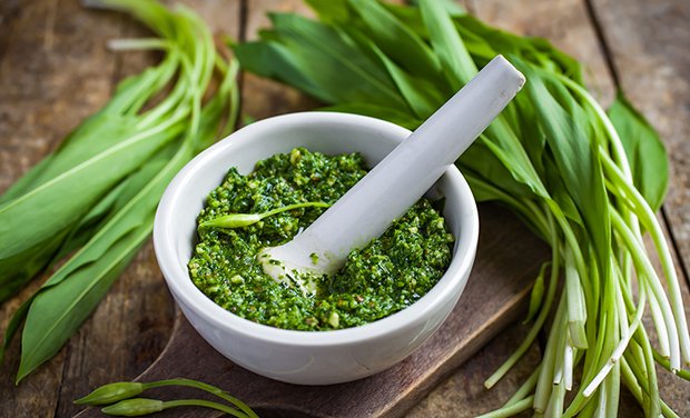 baerlauch pesto Gutekueche.ch