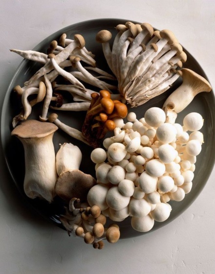 Europäischer Pilztag: fünf leckere Rezepte!