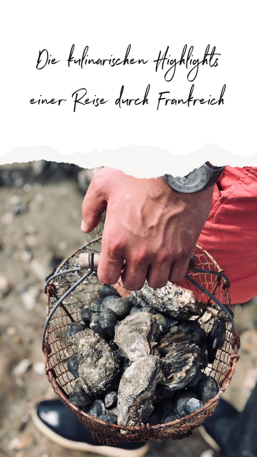 Die kulinarischen Highlights einer Reise durch Frankreich