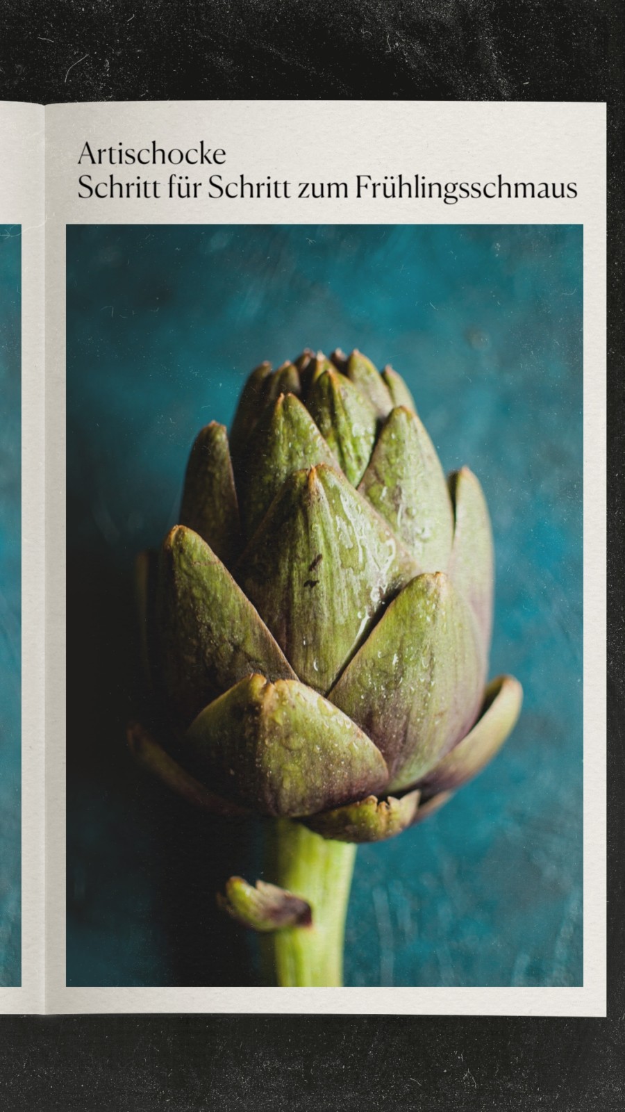 Artischocke – Schritt für Schritt zum Frühlingsschmaus (inkl. Rezeptideen)